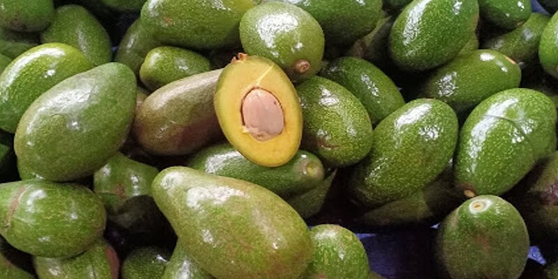 Mua bơ sáp ở Hà Nội