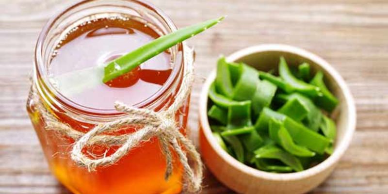 Mật Ong Và Nha Đam