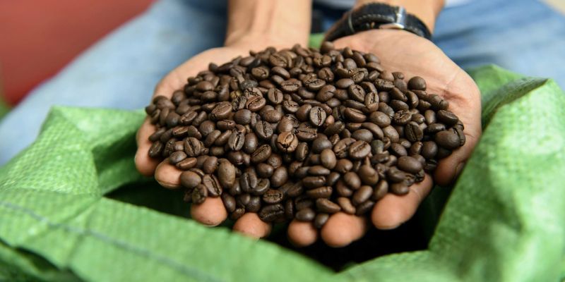 Cà phê hữu cơ là gì?