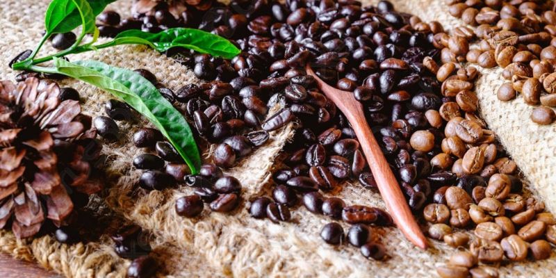 Làm thế nào để nhận biết cà phê hữu cơ?