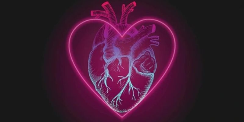 Ý Nghĩa Của Những Trái Tim Đồng Đẳng