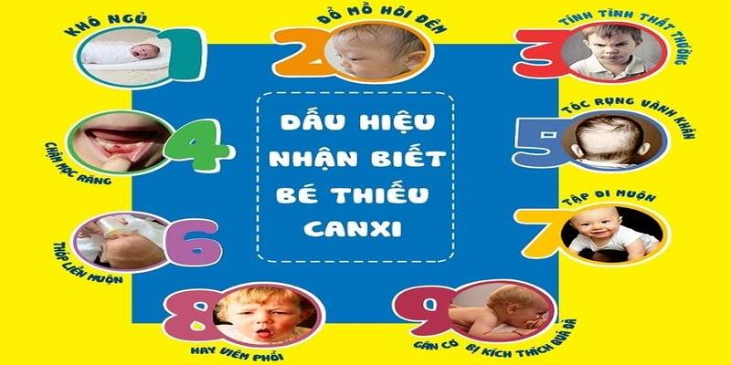 Thiếu Canxi Là Gì?