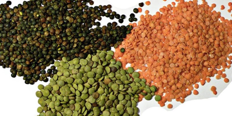 Chế phẩm từ đậu (Đậu lăng, đậu đỏ, đậu xanh)