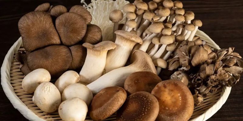 Nấm – Nguyên liệu tuyệt vời cho món ăn thuần chay